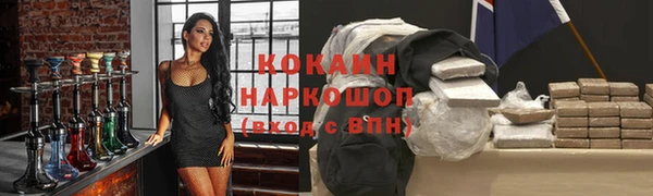 гидра Володарск