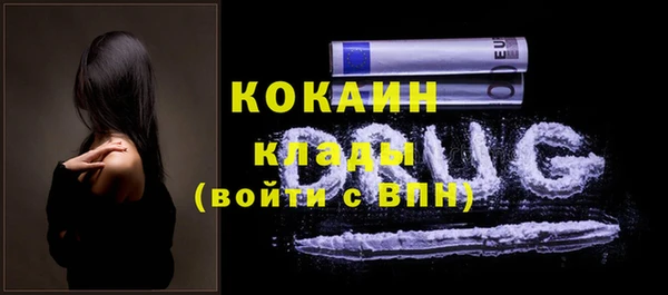 гидра Володарск
