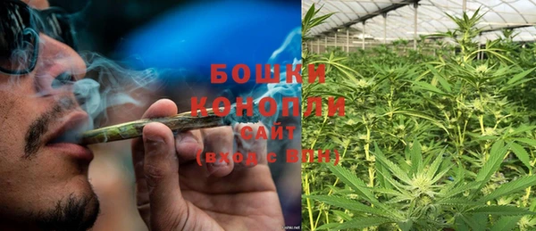 гидра Володарск