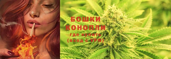гидра Володарск